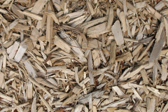 biomass boilers Garrochtrie